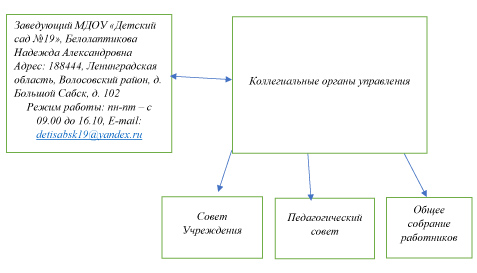 Структура и органы управления образовательной организацией